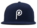 Plugged Logo Hat